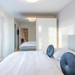 Apartment Penthouse Tine *